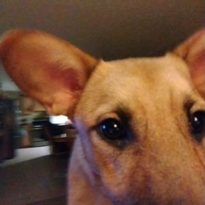 Meet your Posher, Scott